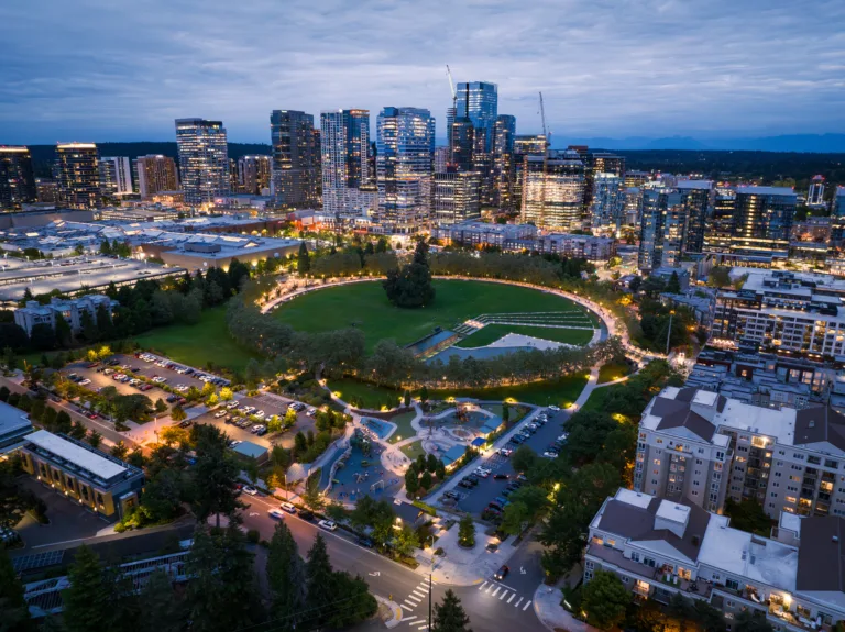 Stump grinder cutting tree stump below ground