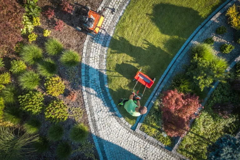 Stump grinding service in Seattle backyard