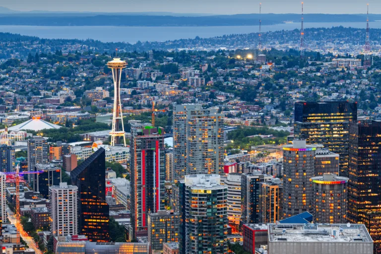 Tree stump removal with roots cleared in Bellevue